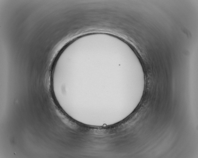 X0000111381511200908071224