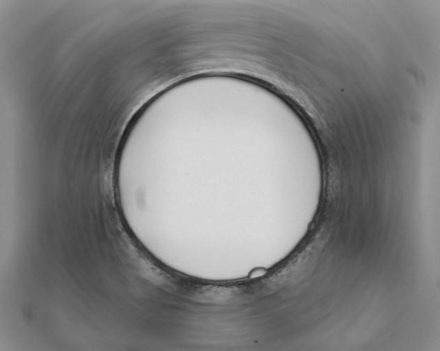 X0000111381513200908071224