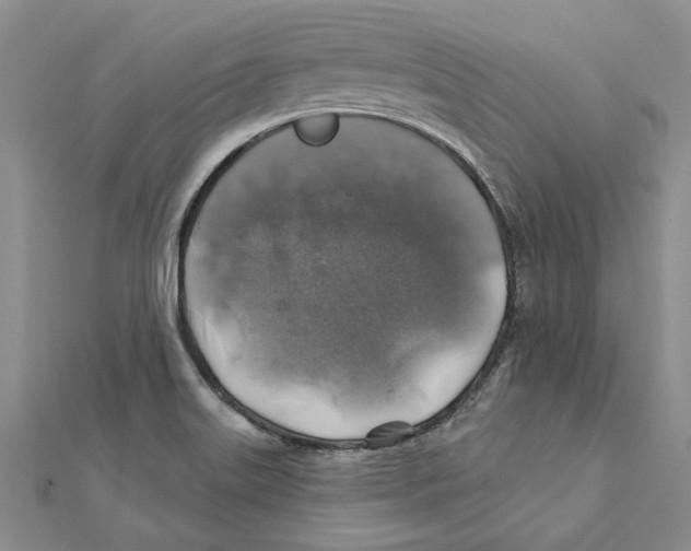 X0000111381515200908071224