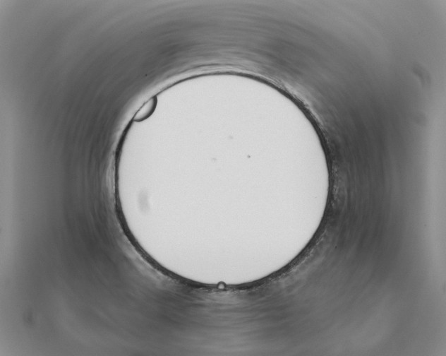 X0000111381516200908071224