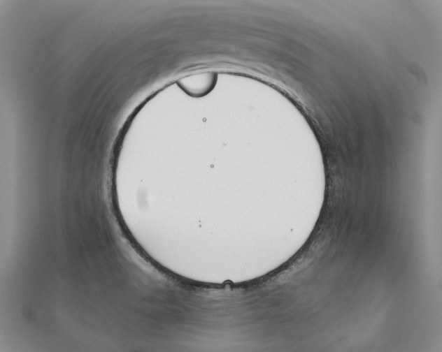 X0000111381518200908071224