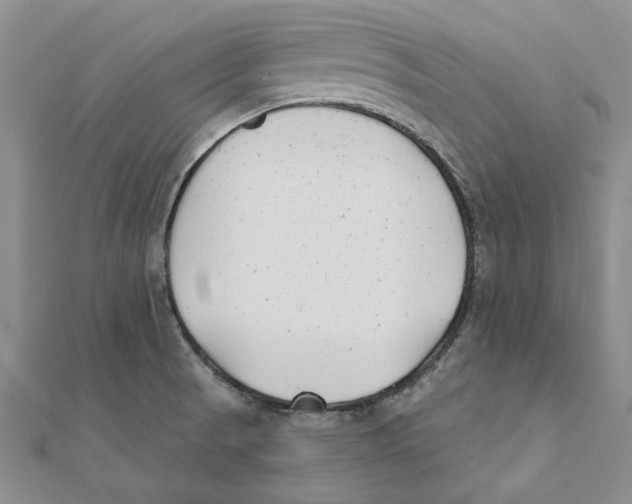 X0000111381521200908071224