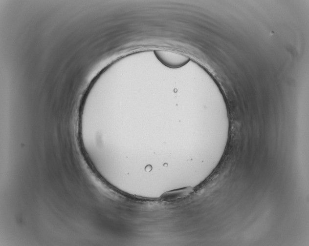 X0000111381523200908071224