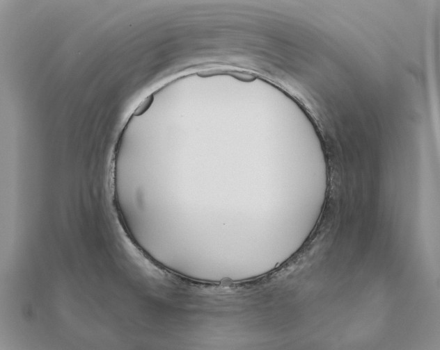 X0000111381524200908071224