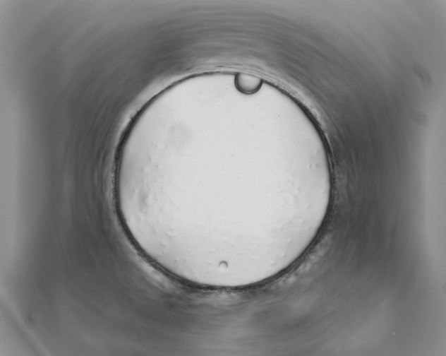 X0000111381525200908071224