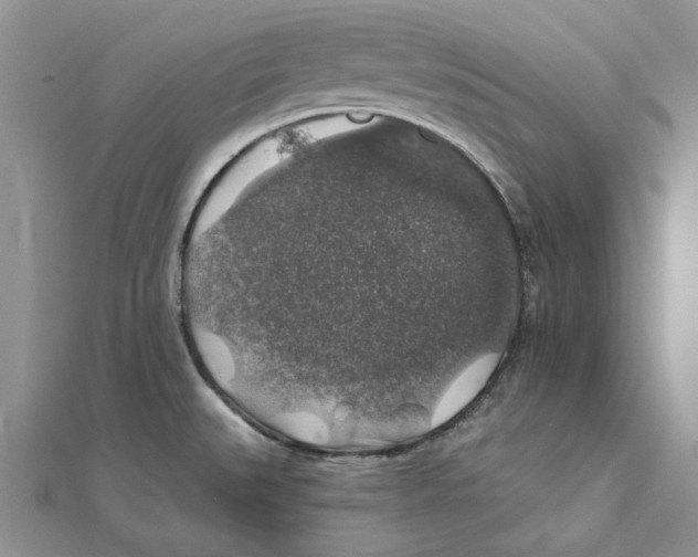 X0000111381527200908071224