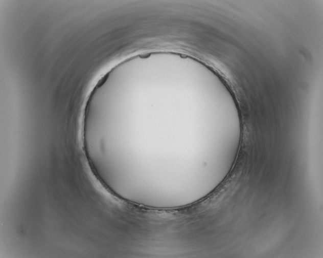 X0000111381528200908071224