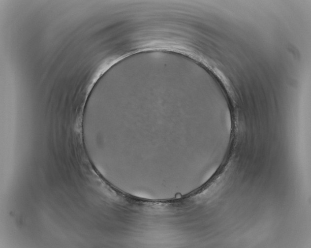 X0000111381529200908071224