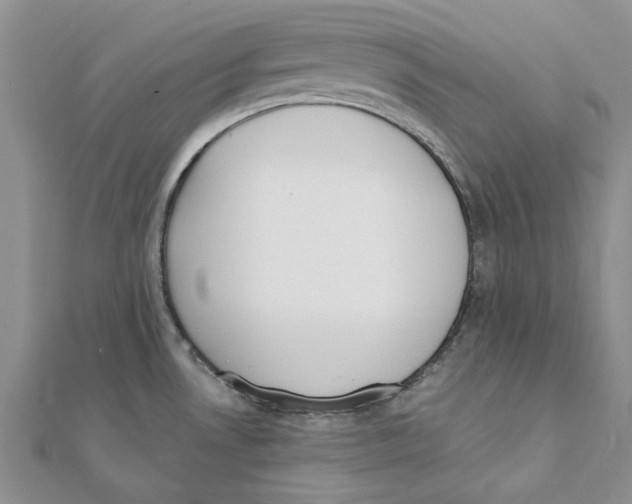 X0000111381530200908071224