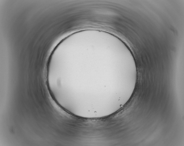 X0000111381531200908071224