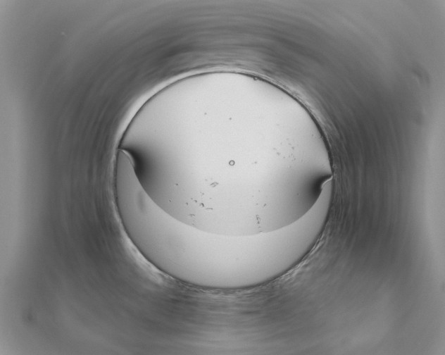 X0000111381532200908071224