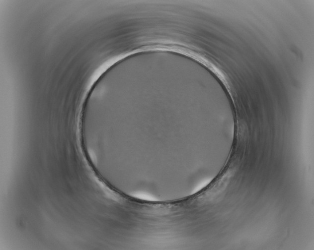 X0000111381533200908071224