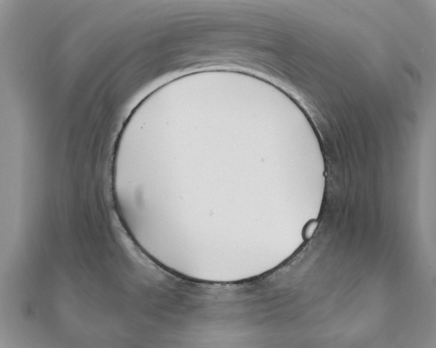 X0000111381534200908071224