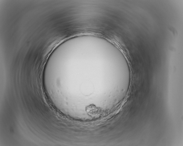 X0000111380001200908211350