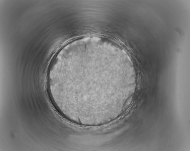 X0000111380002200908211350