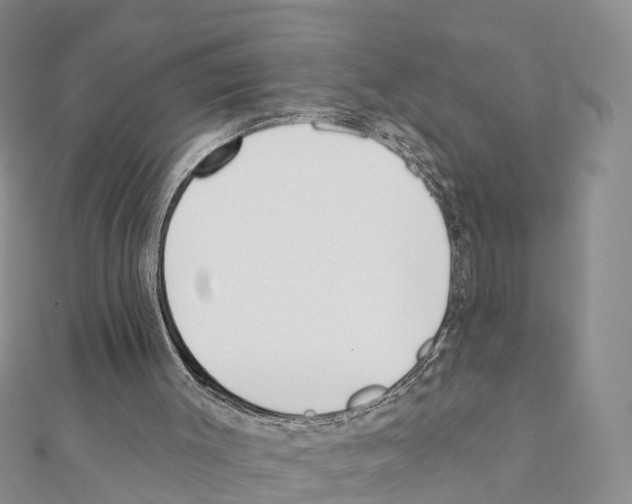 X0000111380003200908211350