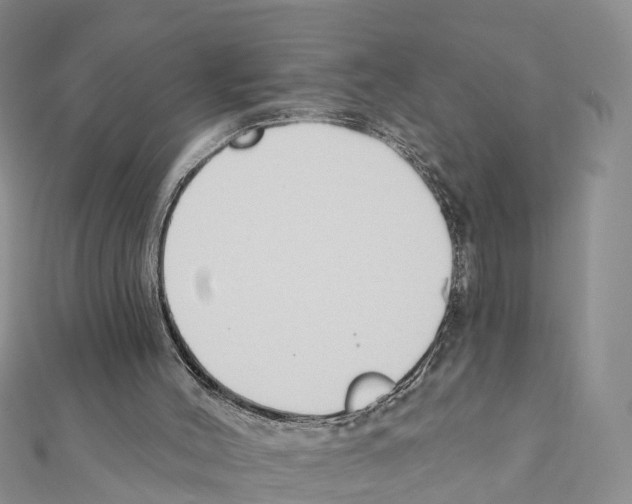 X0000111380004200908211350