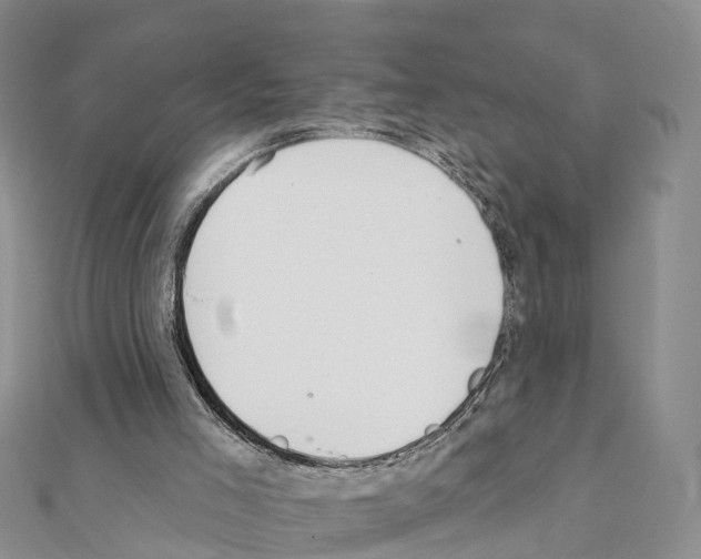 X0000111380005200908211350