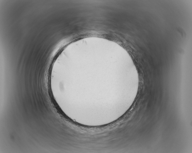 X0000111380006200908211350