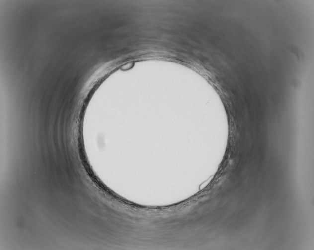 X0000111380007200908211350