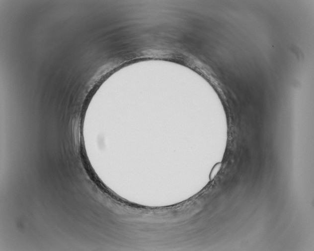 X0000111380011200908211350