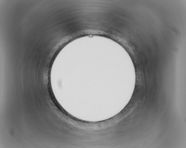 X0000111380015200908211350