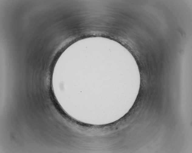 X0000111380016200908211350