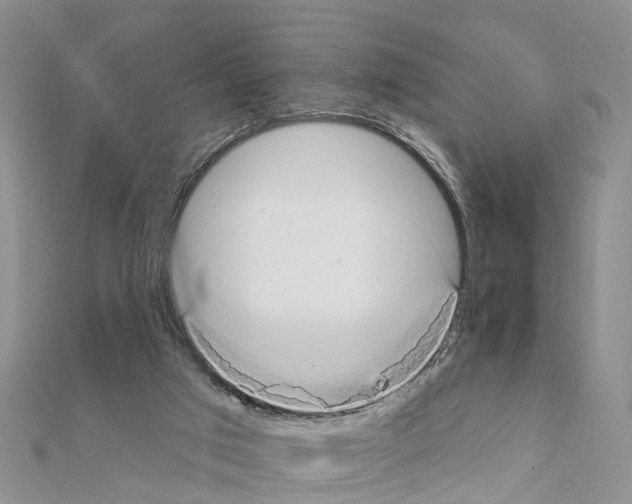 X0000111380017200908211350