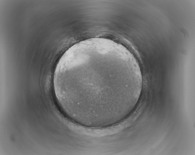 X0000111380018200908211350