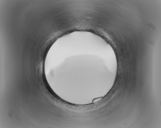 X0000111380019200908211350