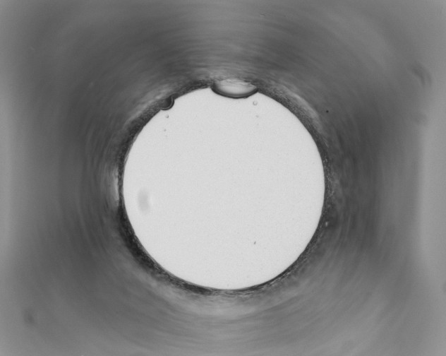 X0000111380020200908211350