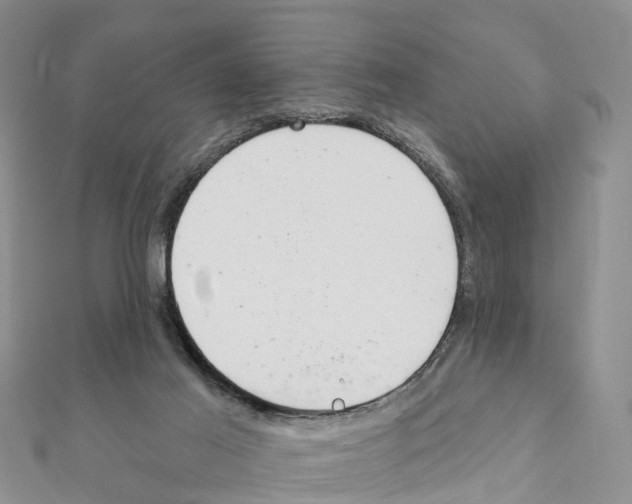 X0000111380021200908211350