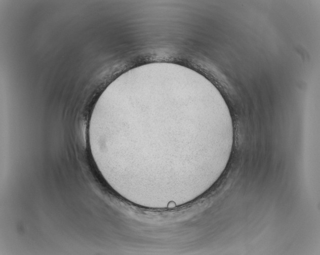 X0000111380022200908211350