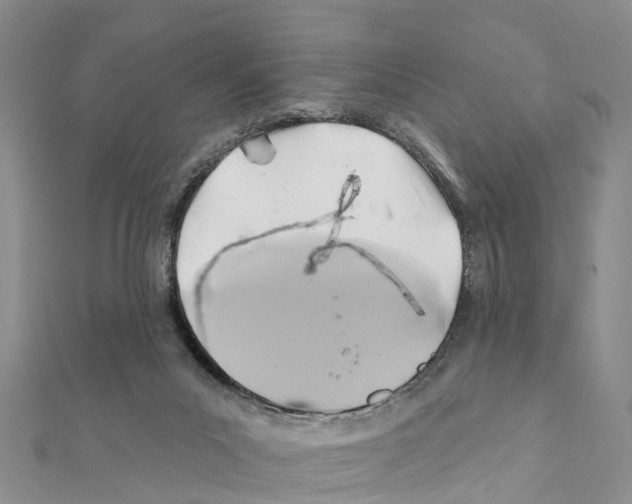 X0000111380023200908211350