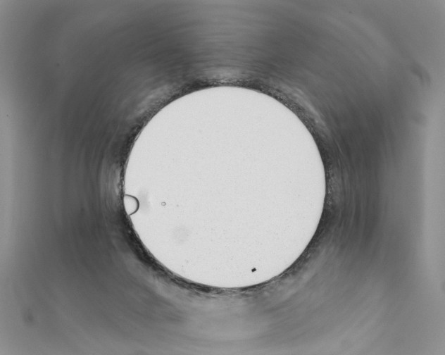 X0000111380024200908211350