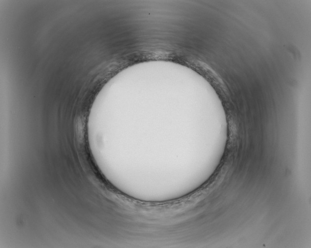 X0000111380026200908211350