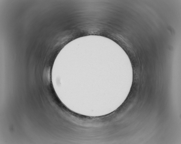 X0000111380028200908211350