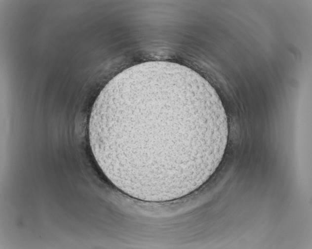 X0000111380030200908211350