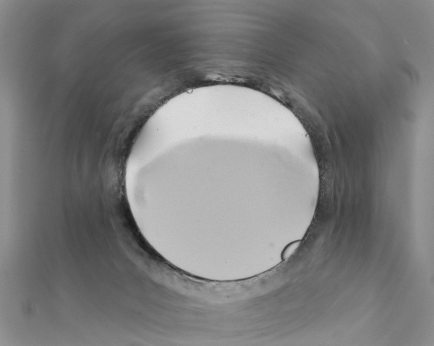 X0000111380031200908211350