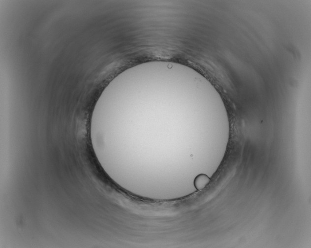 X0000111380032200908211350