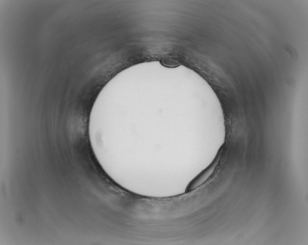 X0000111380033200908211350