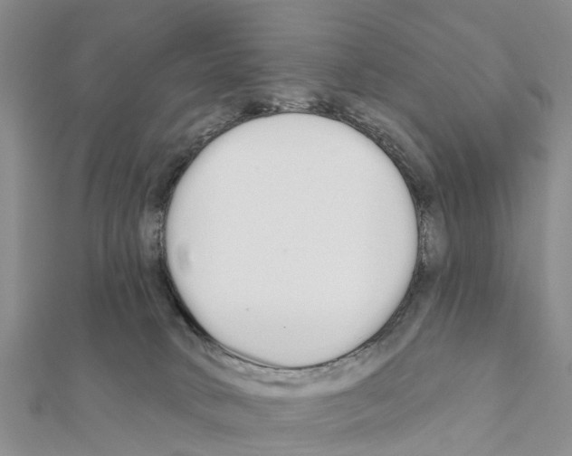 X0000111380034200908211350