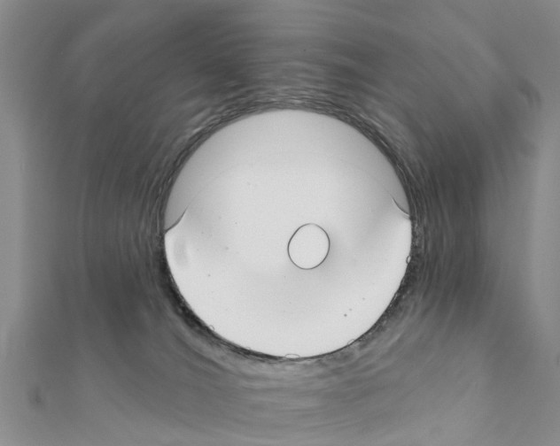 X0000111380036200908211350