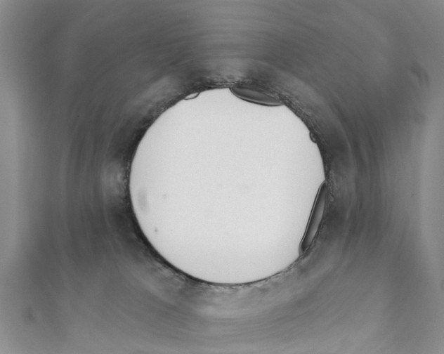 X0000111380037200908211350