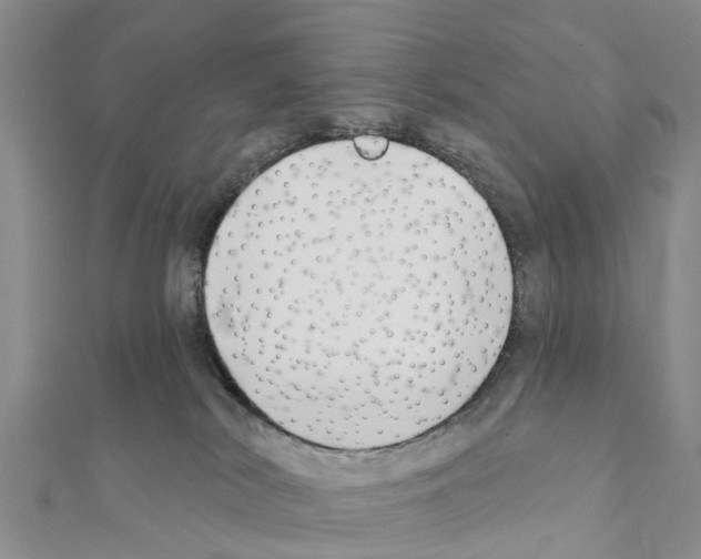 X0000111380038200908211350