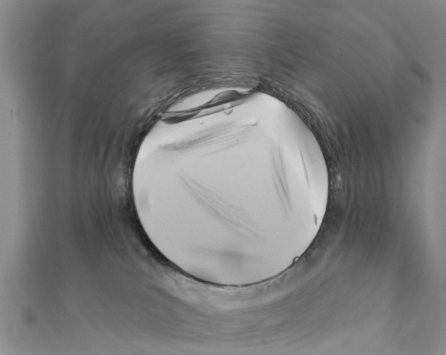 X0000111380039200908211349