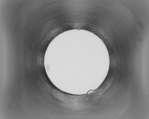 X0000111380044200908211349