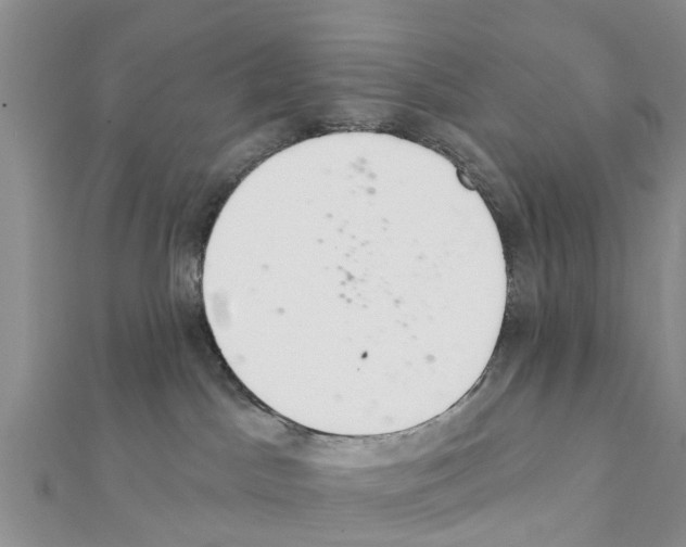 X0000111380045200908211349