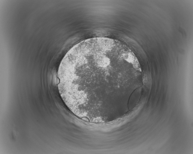 X0000111380046200908211349