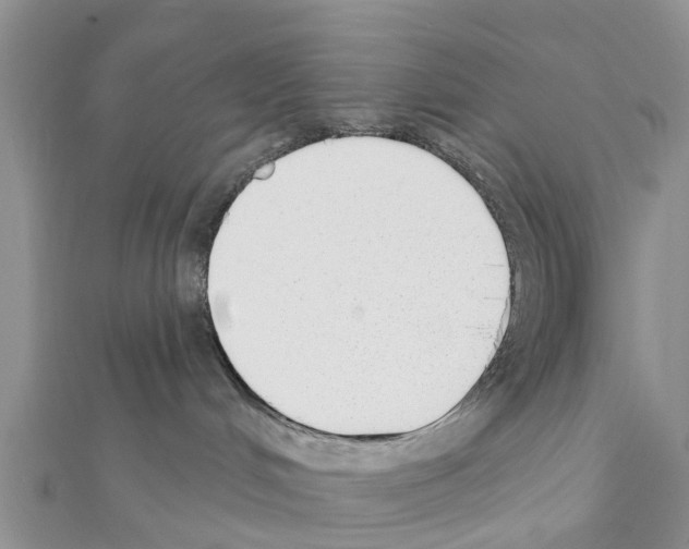 X0000111380048200908211349